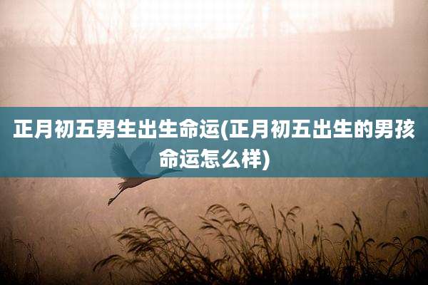 正月初五男生出生命运(正月初五出生的男孩命运怎么样)