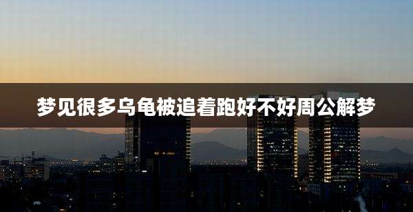 梦见很多乌龟被追着跑好不好周公解梦