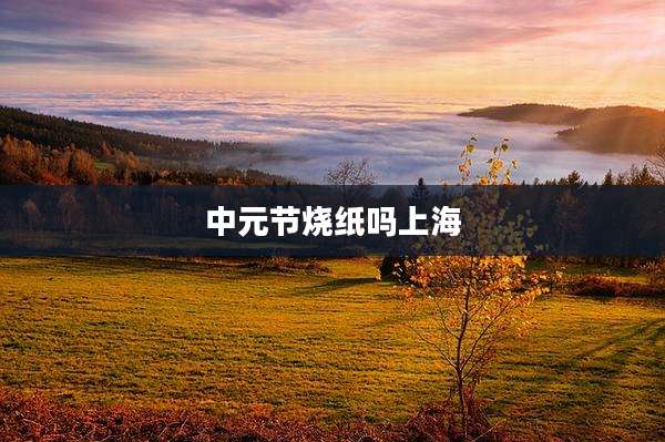 中元节烧纸吗上海