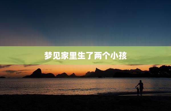 梦见家里生了两个小孩