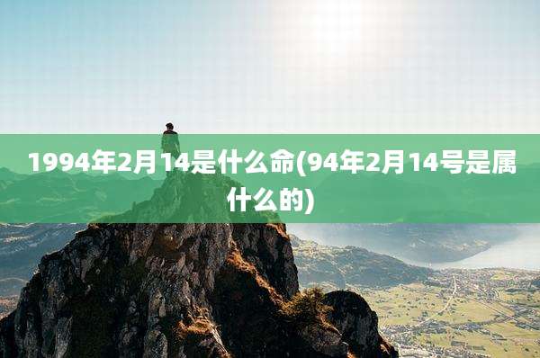 1994年2月14是什么命(94年2月14号是属什么的)