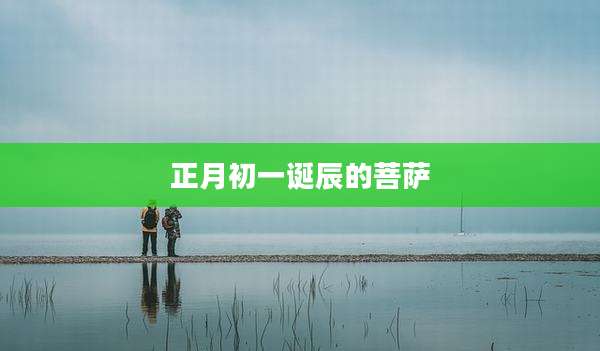 正月初一诞辰的菩萨