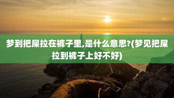 梦到把屎拉在裤子里,是什么意思?(梦见把屎拉到裤子上好不好)