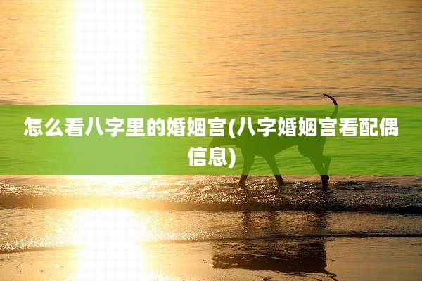 怎么看八字里的婚姻宫(八字婚姻宫看配偶信息)
