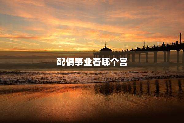 配偶事业看哪个宫
