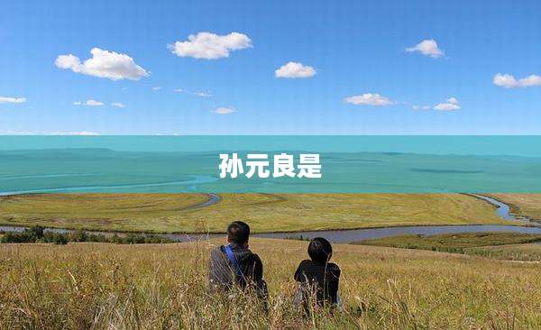 孙元良是