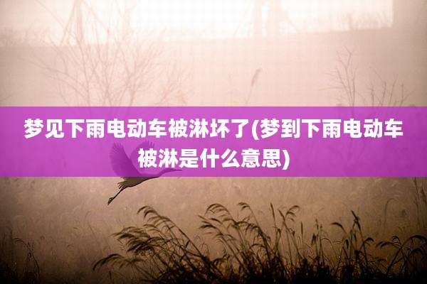 梦见下雨电动车被淋坏了(梦到下雨电动车被淋是什么意思)
