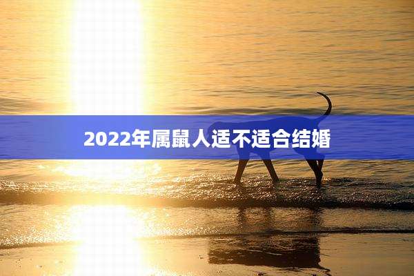 2022年属鼠人适不适合结婚