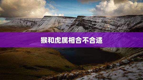 猴和虎属相合不合适