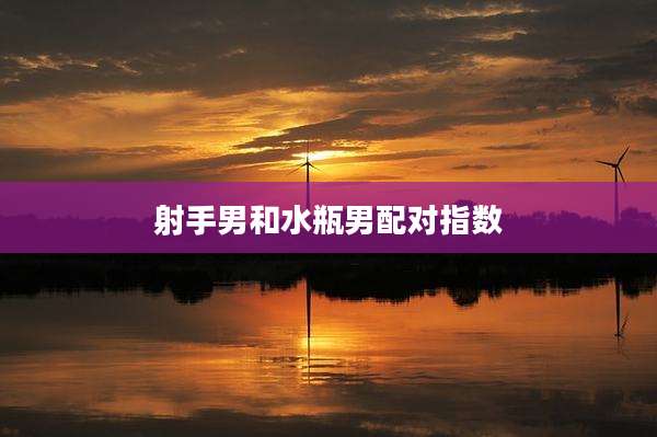 射手男和水瓶男配对指数