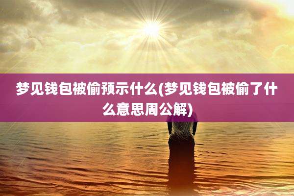 梦见钱包被偷预示什么(梦见钱包被偷了什么意思周公解)