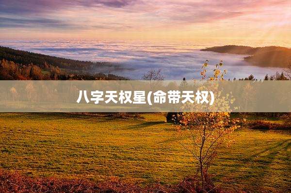 八字天权星(命带天权)