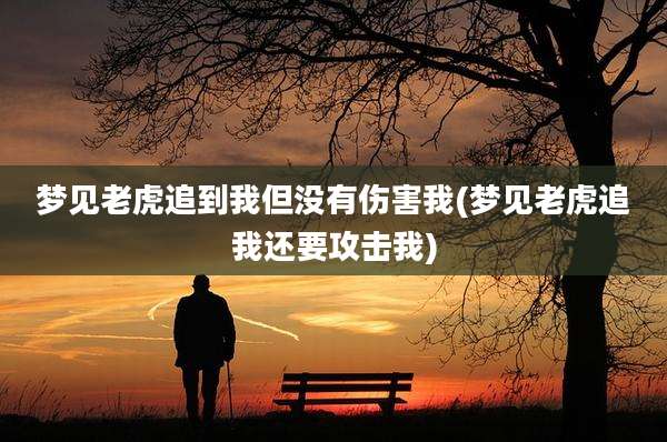 梦见老虎追到我但没有伤害我(梦见老虎追我还要攻击我)
