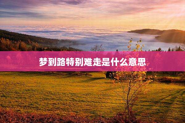 梦到路特别难走是什么意思