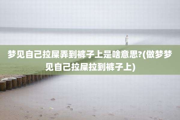 梦见自己拉屎弄到裤子上是啥意思?(做梦梦见自己拉屎拉到裤子上)