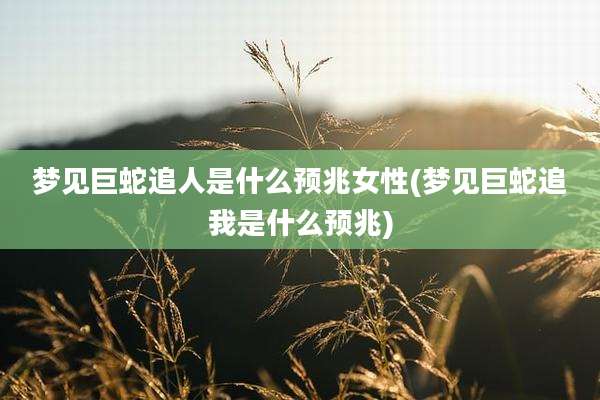 梦见巨蛇追人是什么预兆女性(梦见巨蛇追我是什么预兆)