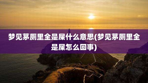 梦见茅厕里全是屎什么意思(梦见茅厕里全是屎怎么回事)