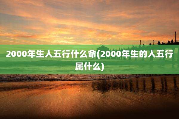 2000年生人五行什么命(2000年生的人五行属什么)