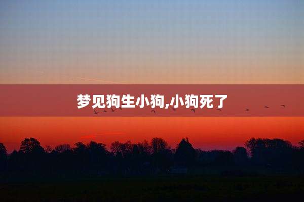 梦见狗生小狗,小狗死了