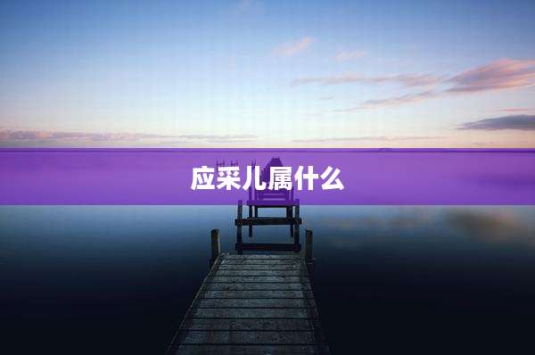 应采儿属什么