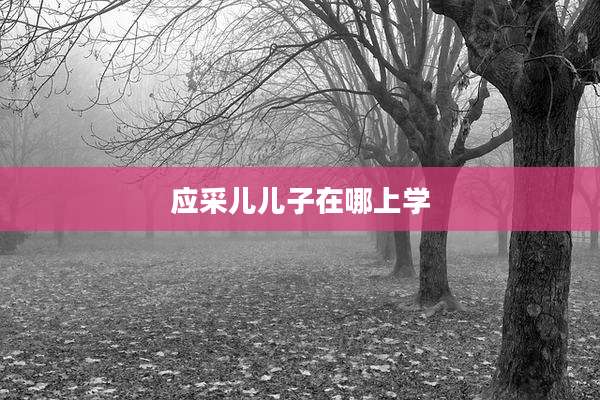 应采儿儿子在哪上学