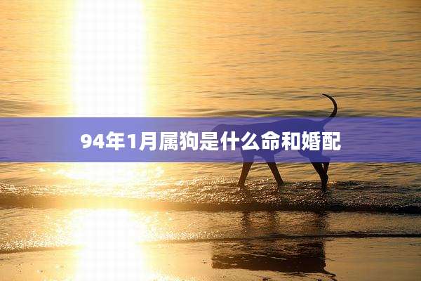 94年1月属狗是什么命和婚配