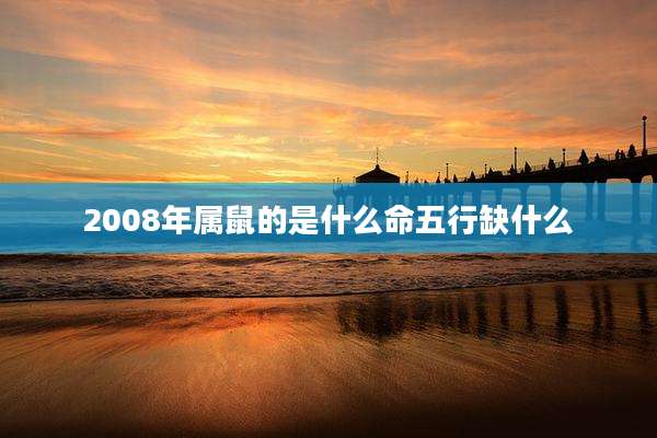 2008年属鼠的是什么命五行缺什么