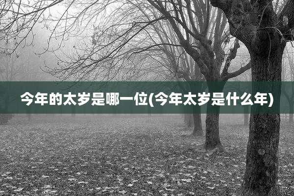 今年的太岁是哪一位(今年太岁是什么年)