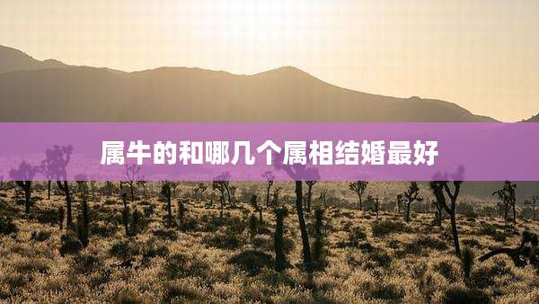 属牛的和哪几个属相结婚最好