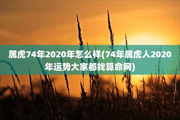 属虎74年2020年怎么样(74年属虎人2020年运势大家都找算命网)