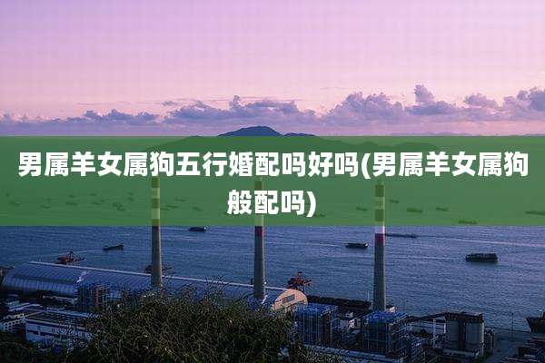 男属羊女属狗五行婚配吗好吗(男属羊女属狗般配吗)