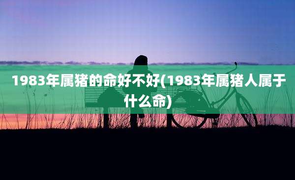 1983年属猪的命好不好(1983年属猪人属于什么命)
