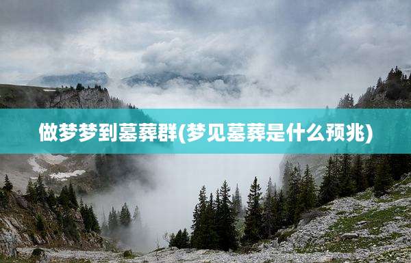 做梦梦到墓葬群(梦见墓葬是什么预兆)