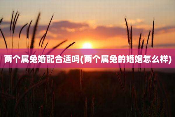 两个属兔婚配合适吗(两个属兔的婚姻怎么样)