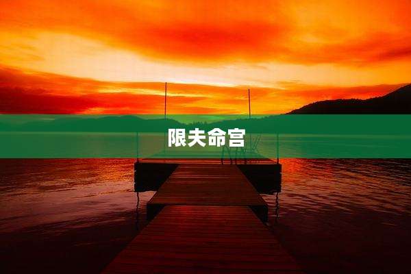 限夫命宫