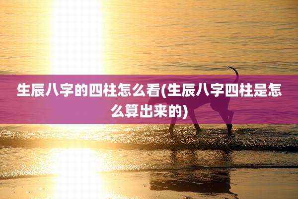 生辰八字的四柱怎么看(生辰八字四柱是怎么算出来的)