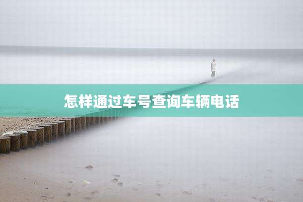 怎样通过车号查询车辆电话