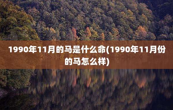 1990年11月的马是什么命(1990年11月份的马怎么样)