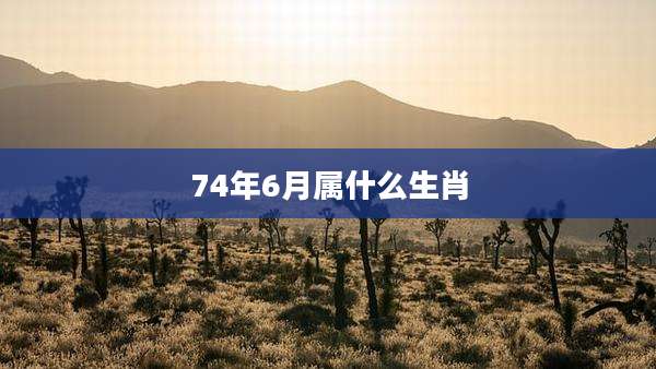 74年6月属什么生肖