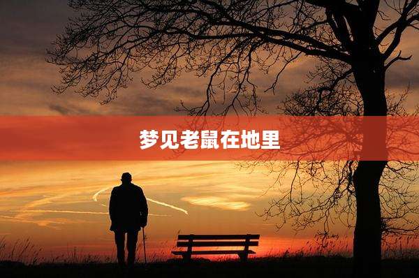 梦见老鼠在地里