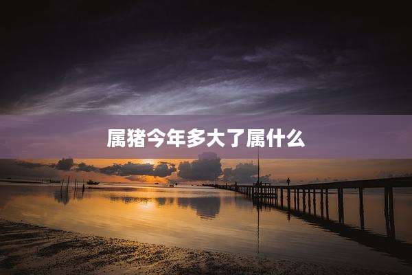 属猪今年多大了属什么