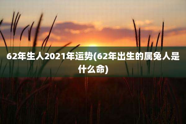 62年生人2021年运势(62年出生的属兔人是什么命)