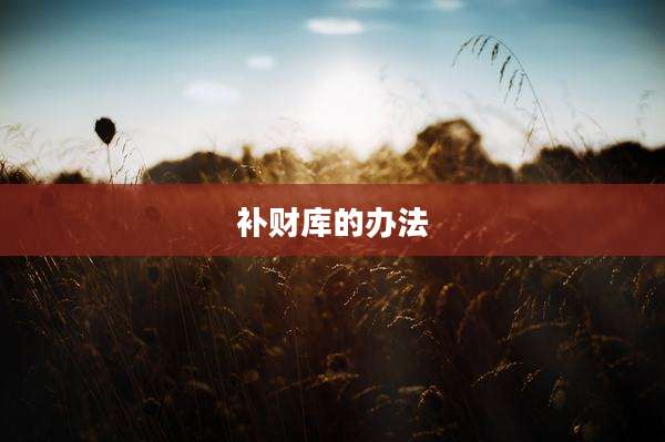 补财库的办法