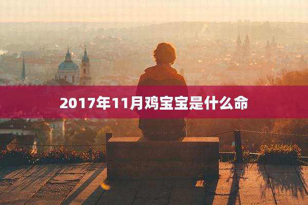 2017年11月鸡宝宝是什么命