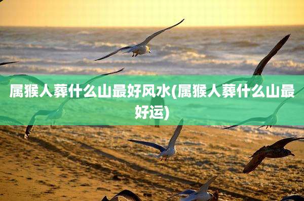 属猴人葬什么山最好风水(属猴人葬什么山最好运)