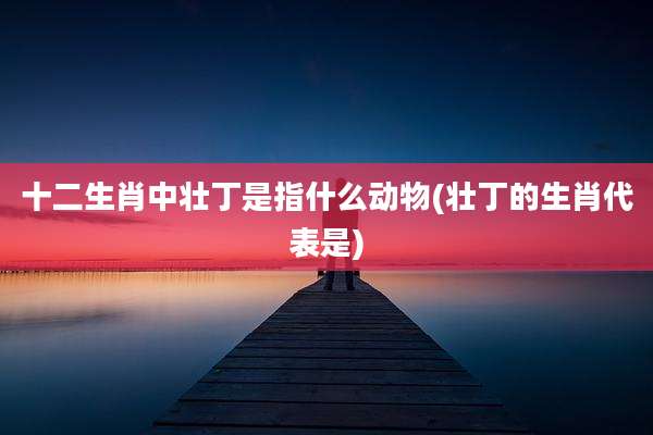 十二生肖中壮丁是指什么动物(壮丁的生肖代表是)