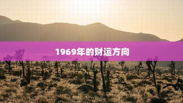 1969年的财运方向