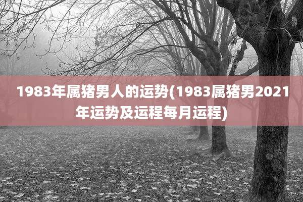 1983年属猪男人的运势(1983属猪男2021年运势及运程每月运程)