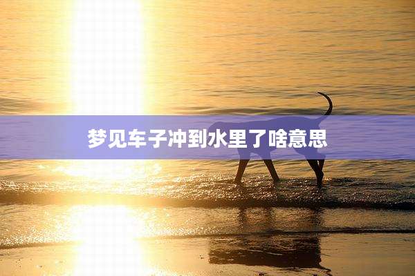 梦见车子冲到水里了啥意思
