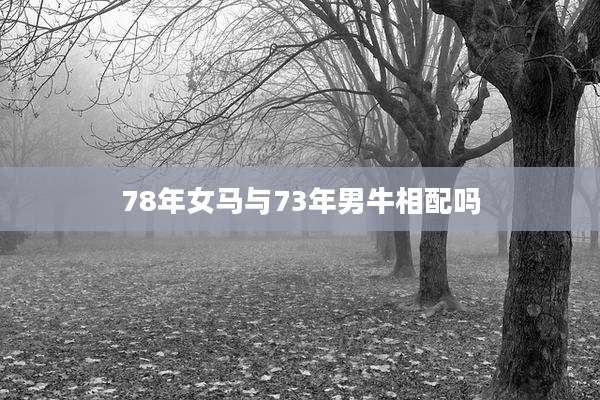 78年女马与73年男牛相配吗